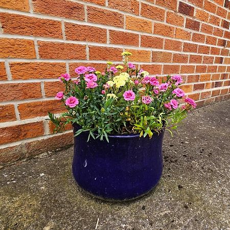 Beckside - Dog Friendly One Bed Home York Buitenkant foto